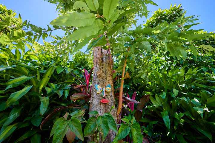 On the Wallaby by null