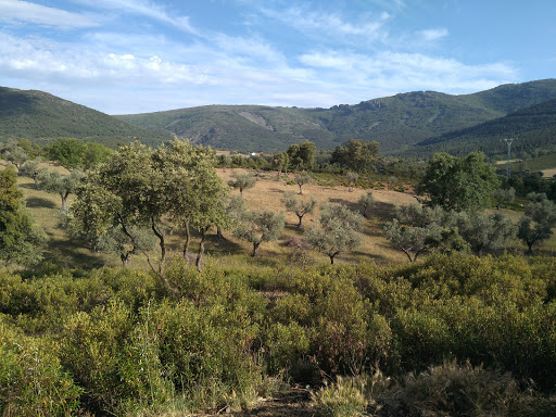 De la TIERRA (Hontanar) - Thumbnail