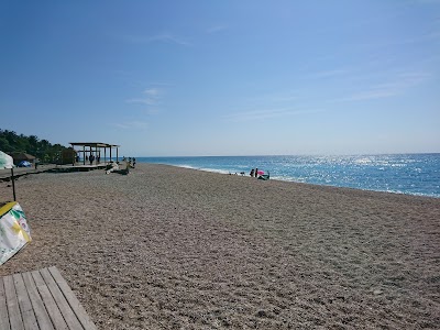Photos of Playa Los Patos