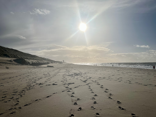 Dog beaches in Westerland - Thumbnail