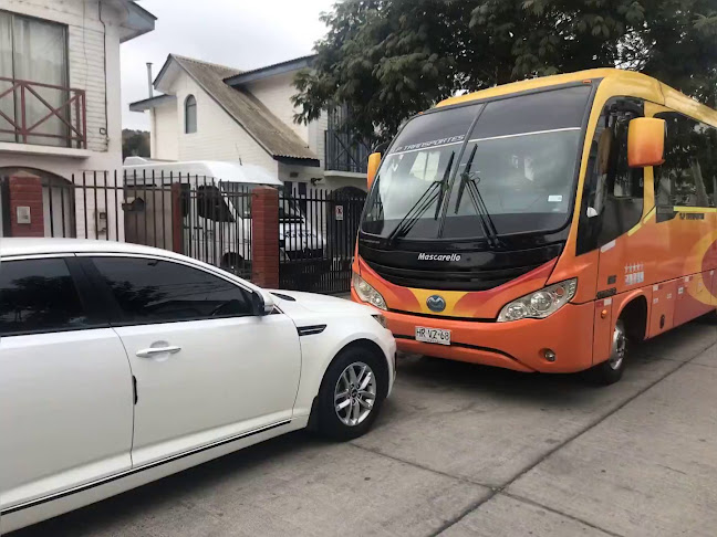 Opiniones de TLP/TPF - Transportes en Coquimbo - Servicio de transporte