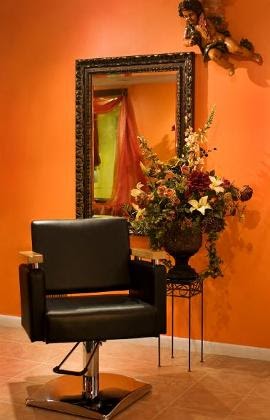 DKN Salon - Visual