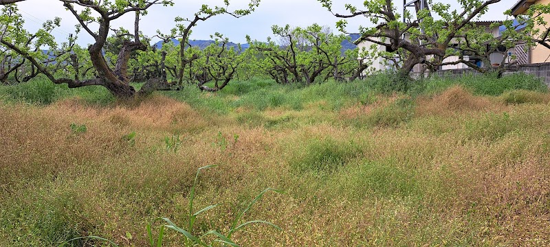 越道建材 【解体工事業·草刈委託業務】