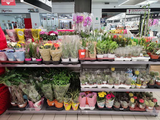 Interspar - Visual