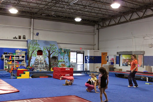 X-Cel Gymnastics - Thumbnail