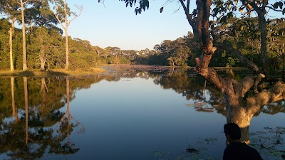 Photos of Safari Park Lake