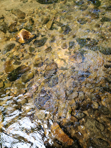 Limestone Cove - Thumbnail