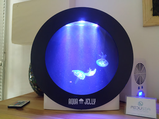 MEDUSEA - Visual