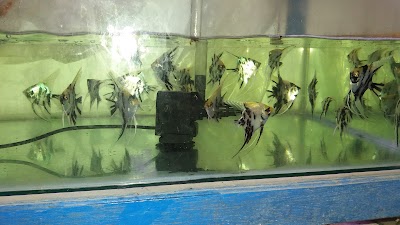 Photos of Pasaman Aquarium