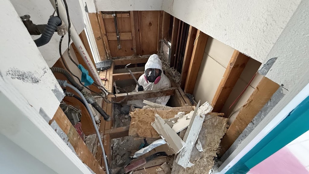 Dry County Restoration, LLC photo