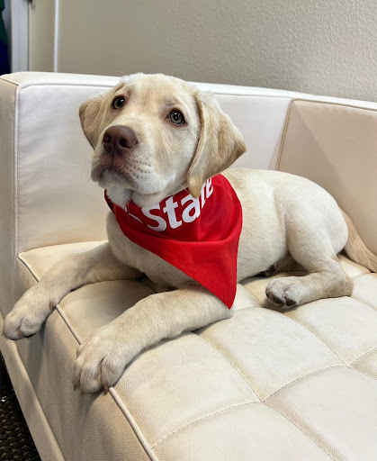 Joe O'Connor - State Farm Insurance Agent - Thumbnail