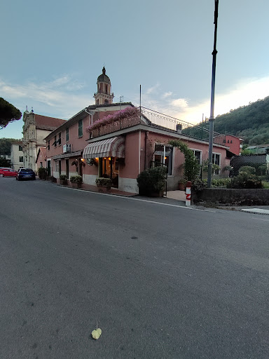 Il Platano - Visual