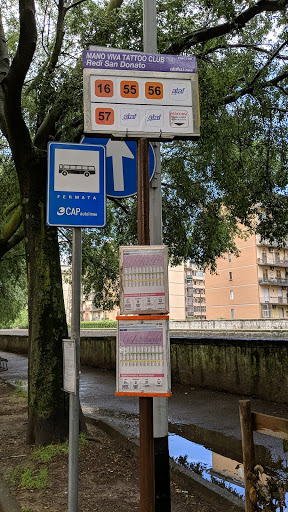 Redi San Donato - Thumbnail