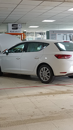 GARATGE CADI CUPRA