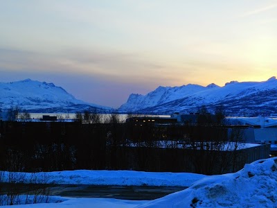 Photos of Scandic Troms&oslash;