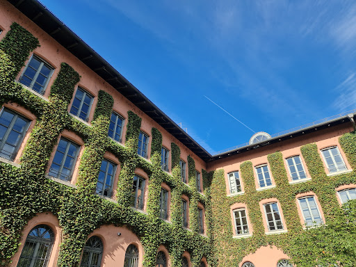 Rathaus Rosenheim - Thumbnail