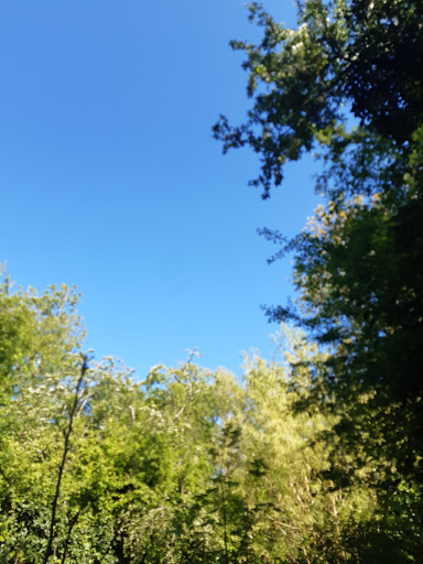 Badsey Lane Nature Reserve - Thumbnail