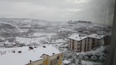 Photos of Yeşeren Parkı