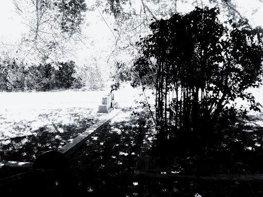 Meridian Park - Thumbnail
