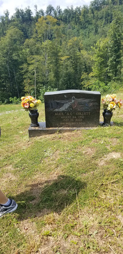 Collett Cemetery - Thumbnail