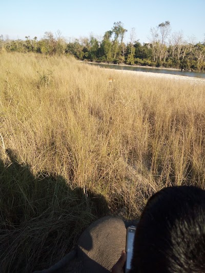 Photos of Chitwan Tiger Resort