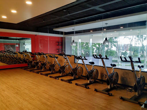 Elite Fitness Puebla - Thumbnail