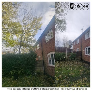 Wilkinson Tree Contractors Ltd