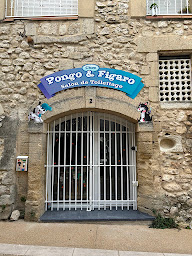 Photo n°1 de Chez Pongo et Figaro à Rochefort-du-Gard (Toiletteur)