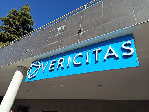 Vericitas - Visual