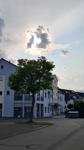 Die Buchhändler - Visual