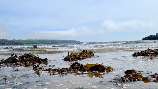 Par Beach - Thumbnail