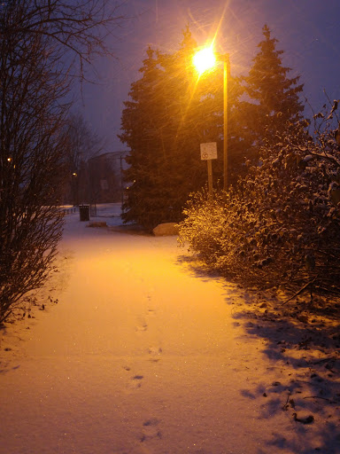 Carrville Park Gallery - Canada