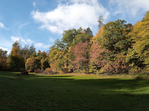 Waldzimmer
