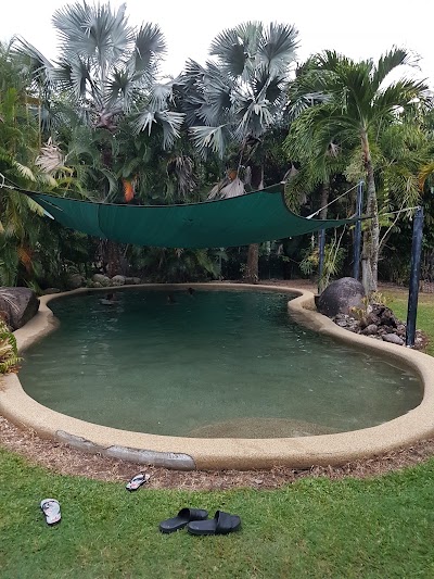Photos of Daintree Wild Bed & Breakfast