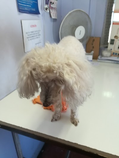 Photos of Clinica Veterinaria Santa Rosa