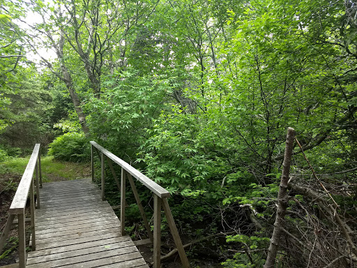 Parc des Buck - Thumbnail