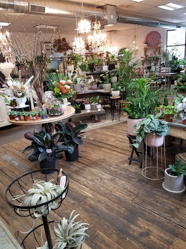 Warehouse 55 - Visual
