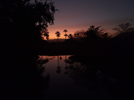 Palapa Isla del Oeste - Thumbnail