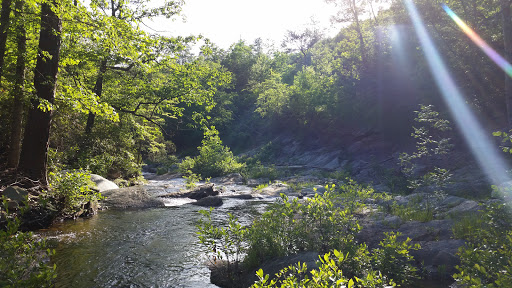Cheaha Wilderness - Thumbnail
