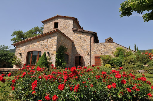 Il Polivere - Visual