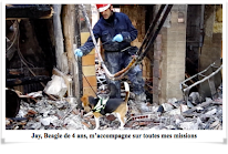 Gargasi Expertises à Le Bouscat