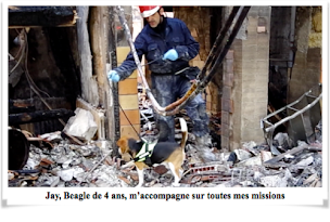 Photo n°1 de Gargasi Expertises à Le Bouscat (Expert en sinistres)