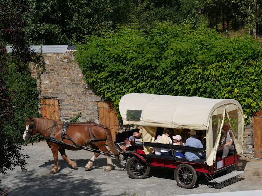 Les Roseaux de Callac - Location de Gîtes Gallery - France