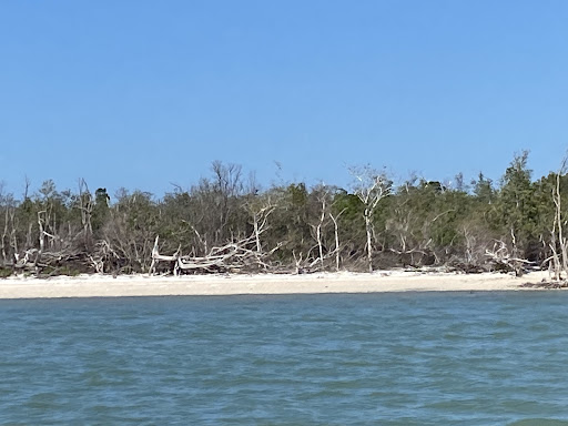 Marco Island Shelling Tours - 239-301-8914 - Thumbnail
