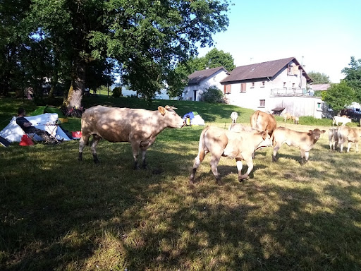 La Tour des Saveurs - Maraîcher et Aire naturelle de camping (Etape Viarhôna) - Thumbnail