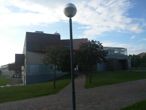 Facultad de Ciencia y Tecnología - Thumbnail