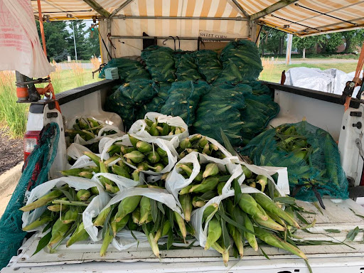 More Than A Corn Stand - Thumbnail
