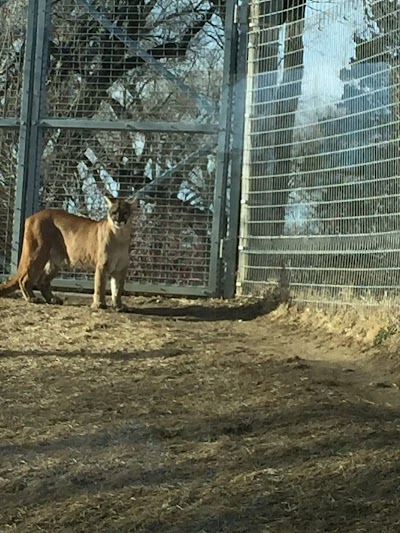 Lee Richardson Zoo