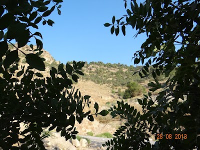 Photos of Al-Majeed Mosque