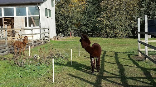 Strausu ferma Mazzariņi